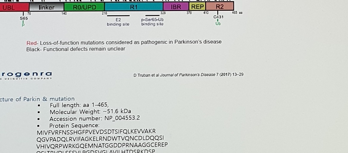 Parkin mutation domain map