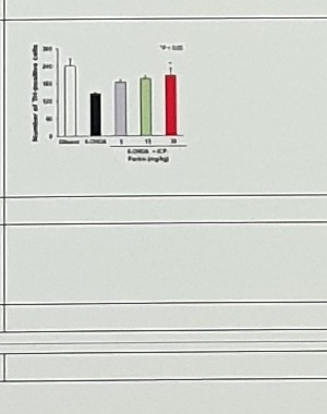 Partial 6-OHDA mice figure