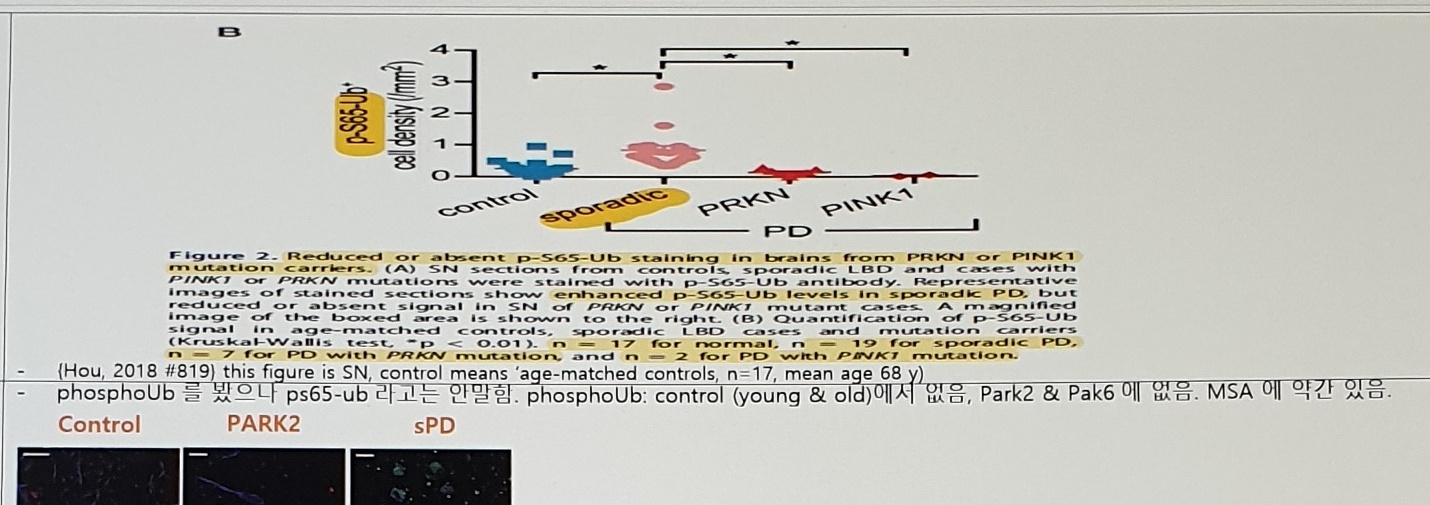 Hou 2018 reduced or absent p-S65-Ub staining figure