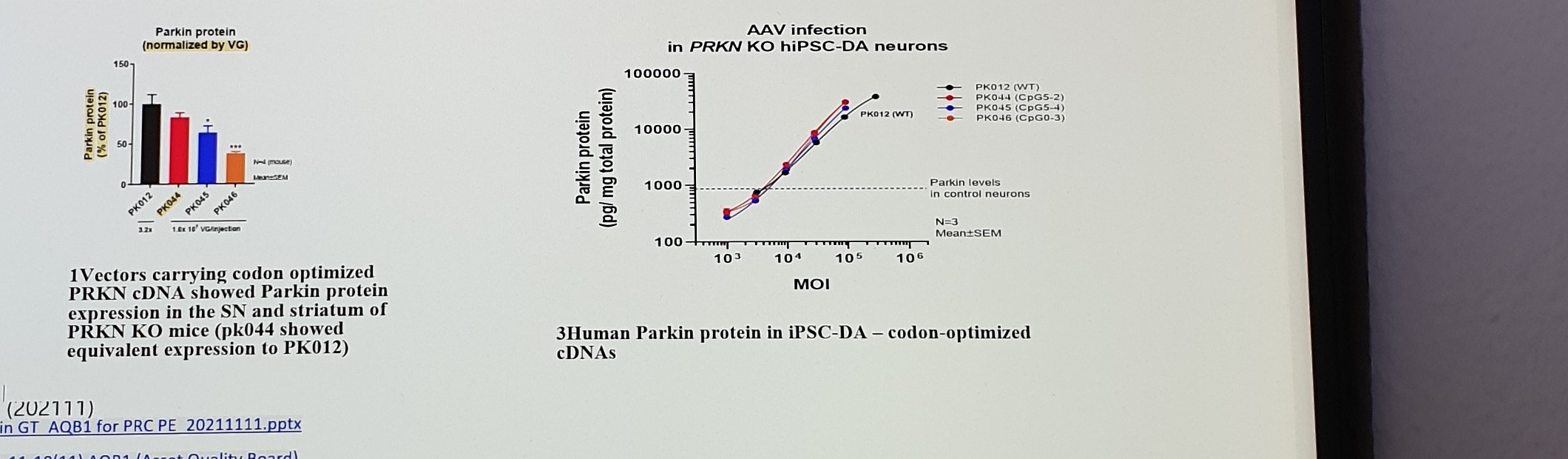 AAV9 Parkin expression comparisons